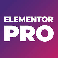 Elementor Pro